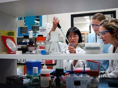 Takara Bio USA, Inc. And TeselaGen Biotechnology, Inc. Release A Powerful New Primer Tool For Easy Design Of In-Fusion Cloning Experiments