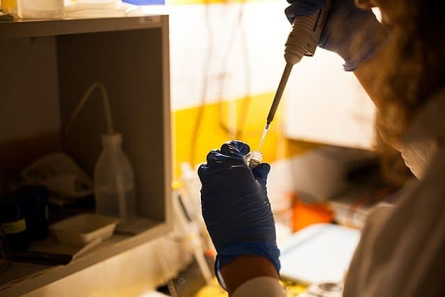 Arzeda and TeselaGen Partner to Advance Biodesign Technologies for Industrial Biotechnology