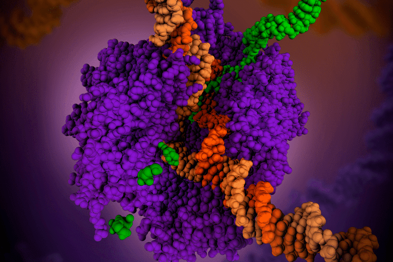 Ansa Biotechnologies partners with TeselaGen Biotechnology to enable commercial production of DNA products