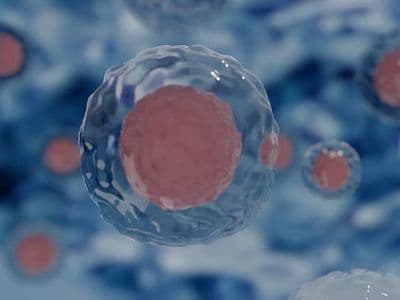 Machine Learning and Synthetic Biology used to Optimize a Cellular Factory for Industrially Relevant Products