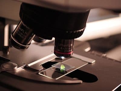 DOW AgroSciences and TeselaGen Expanding Advanced Biodesign Platform for Agriculture