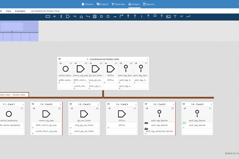 TeselaGen receives NSF SBIR Award