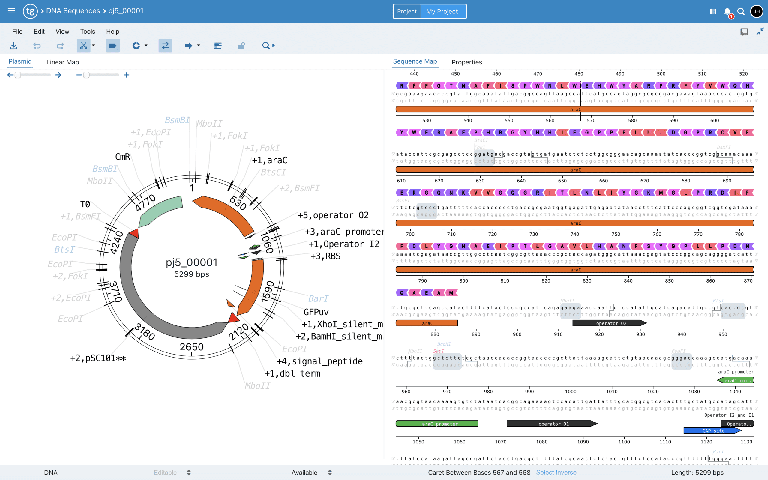TeselaGen vector editor interface